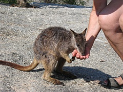 CairnsTC107 Granite Gorge